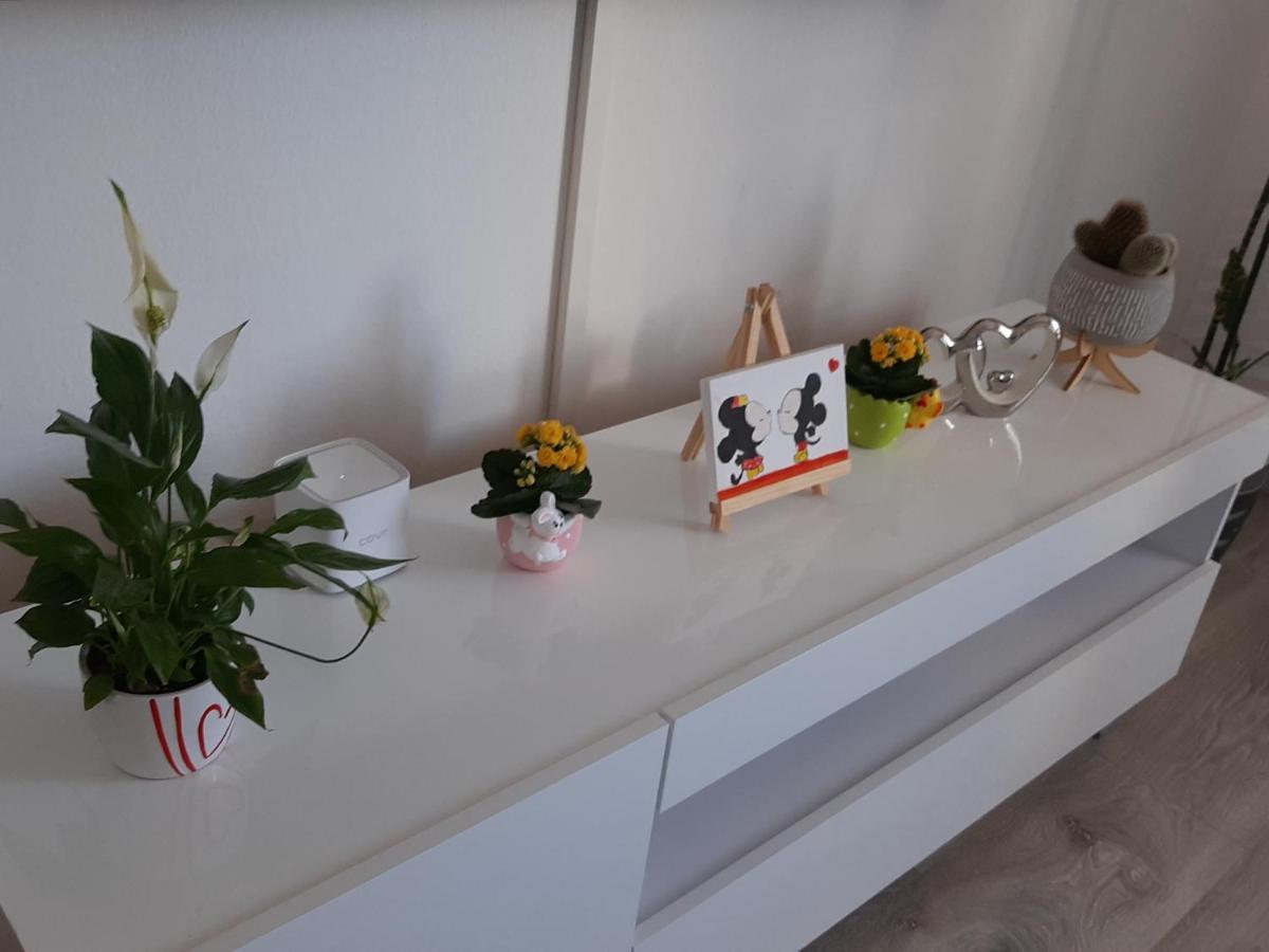 Apartments Margareta & Ena マリンスカ エクステリア 写真