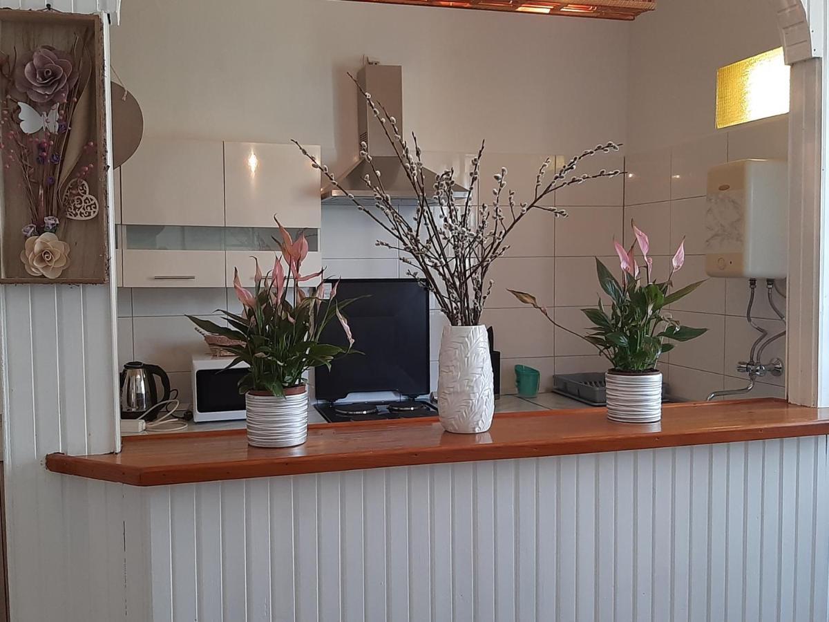 Apartments Margareta & Ena マリンスカ エクステリア 写真